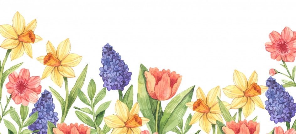 PRZERWA ŚWIĄTECZNA !