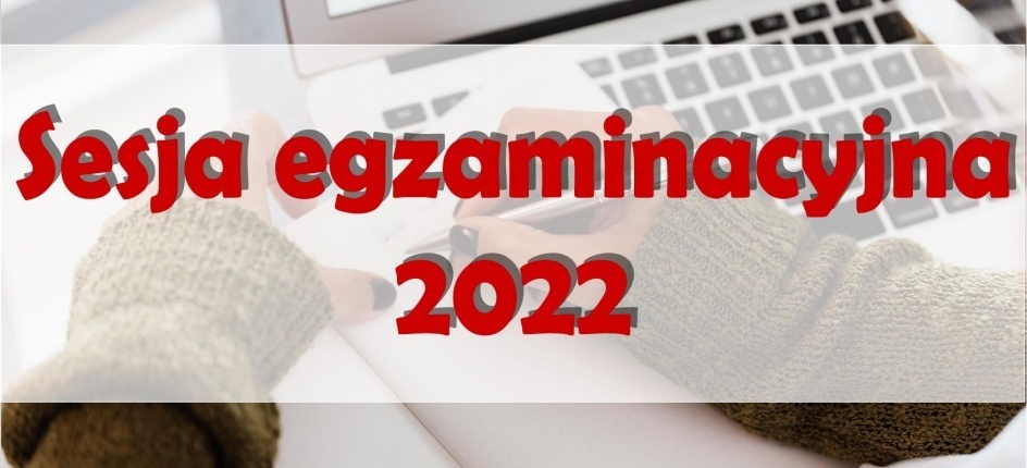 System przeprowadzania egzaminów czeladniczych w 2023r.